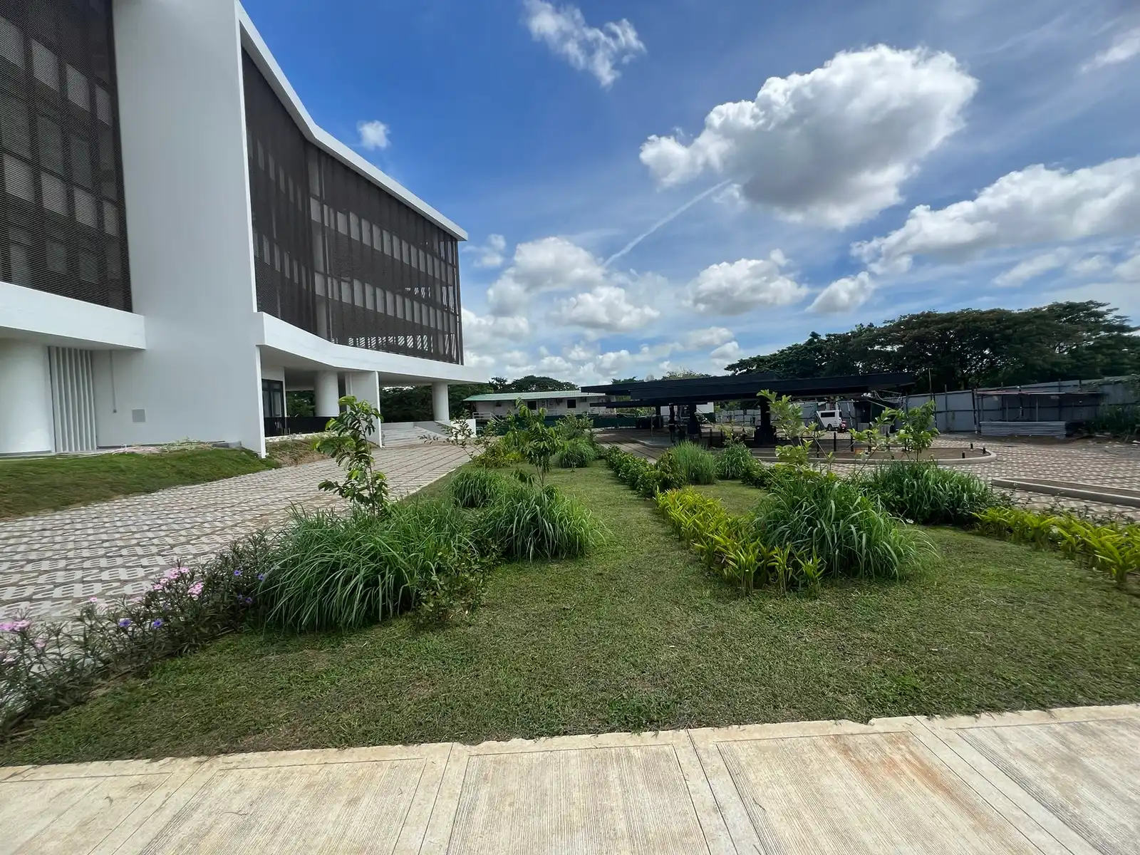 Campus garden walkway planting at De La Salle University Laguna Campus
