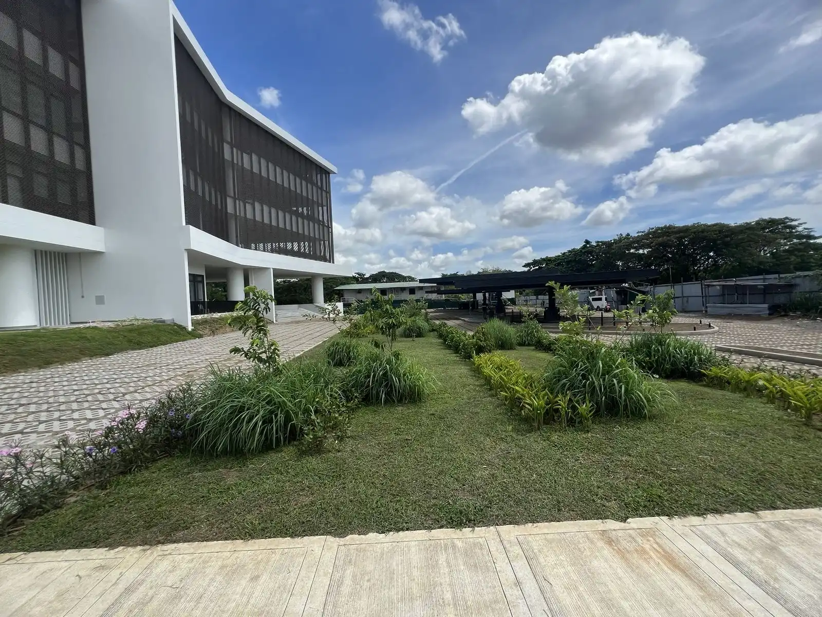 Ground-level garden bed with ornamental grasses and flowers against a clean campus building facade