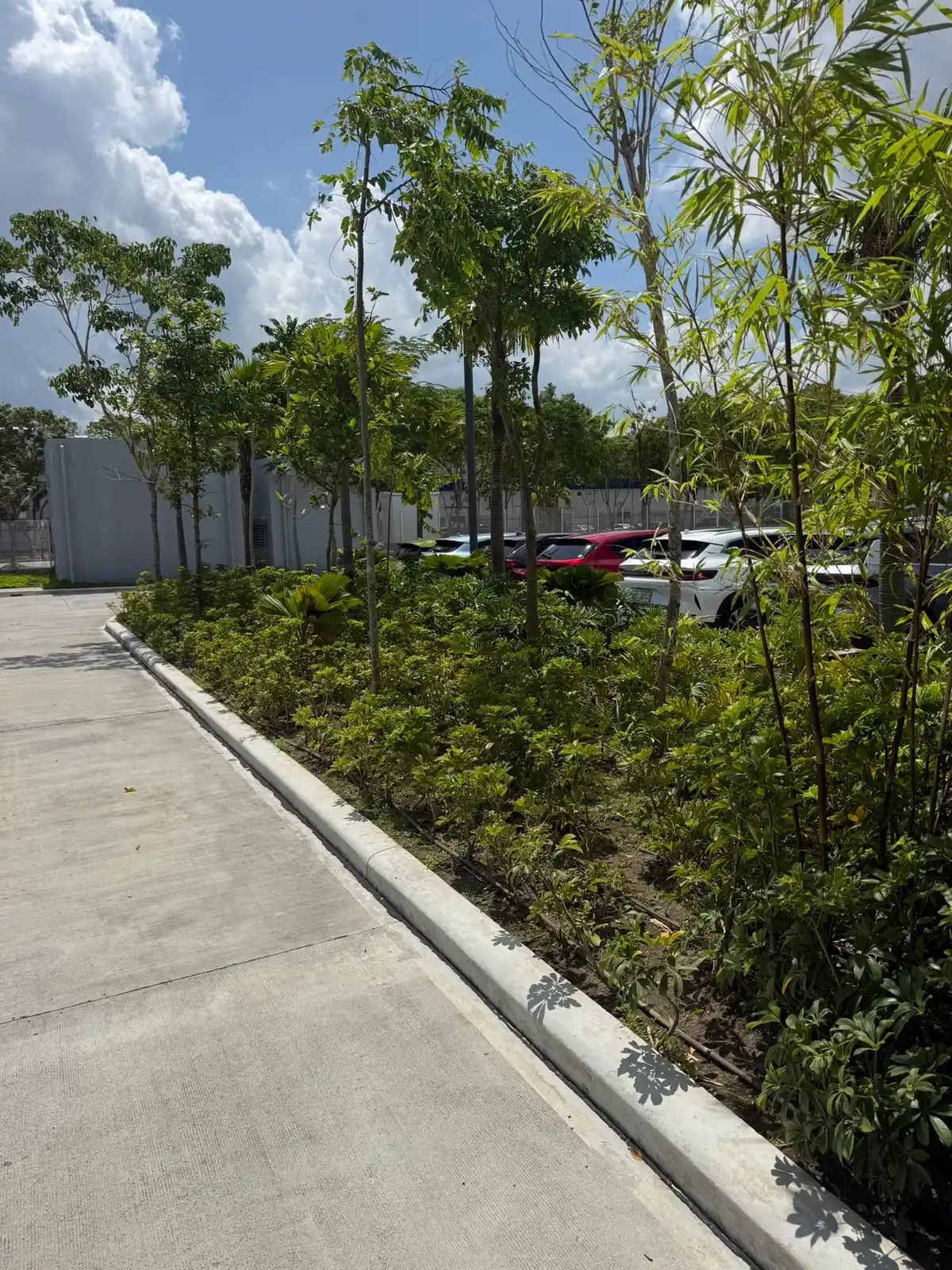 Daylight view of courtyard planters at the manufacturing campus