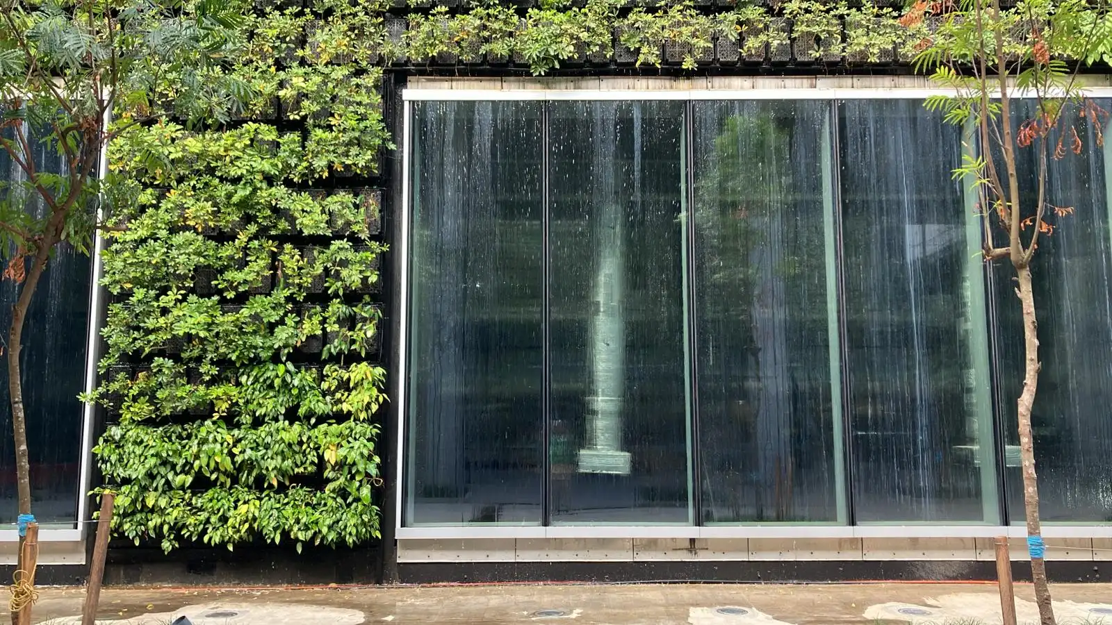 Interior greenwall and water feature at the finished manufacturing campus facade