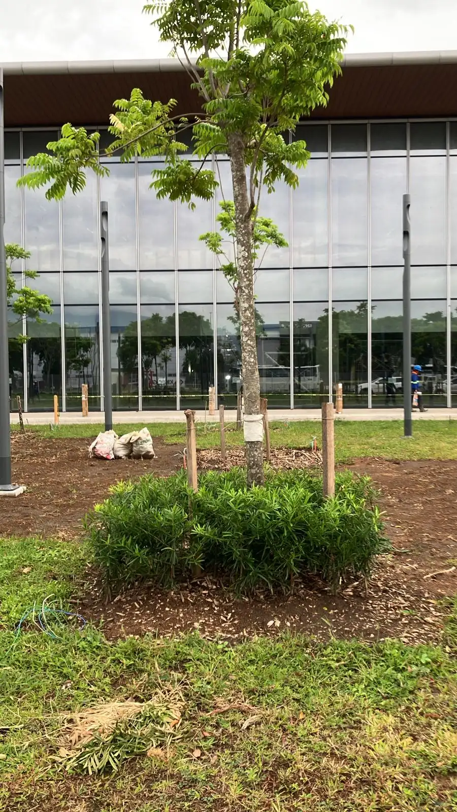 Interior atrium with sunken planters at the manufacturing campus