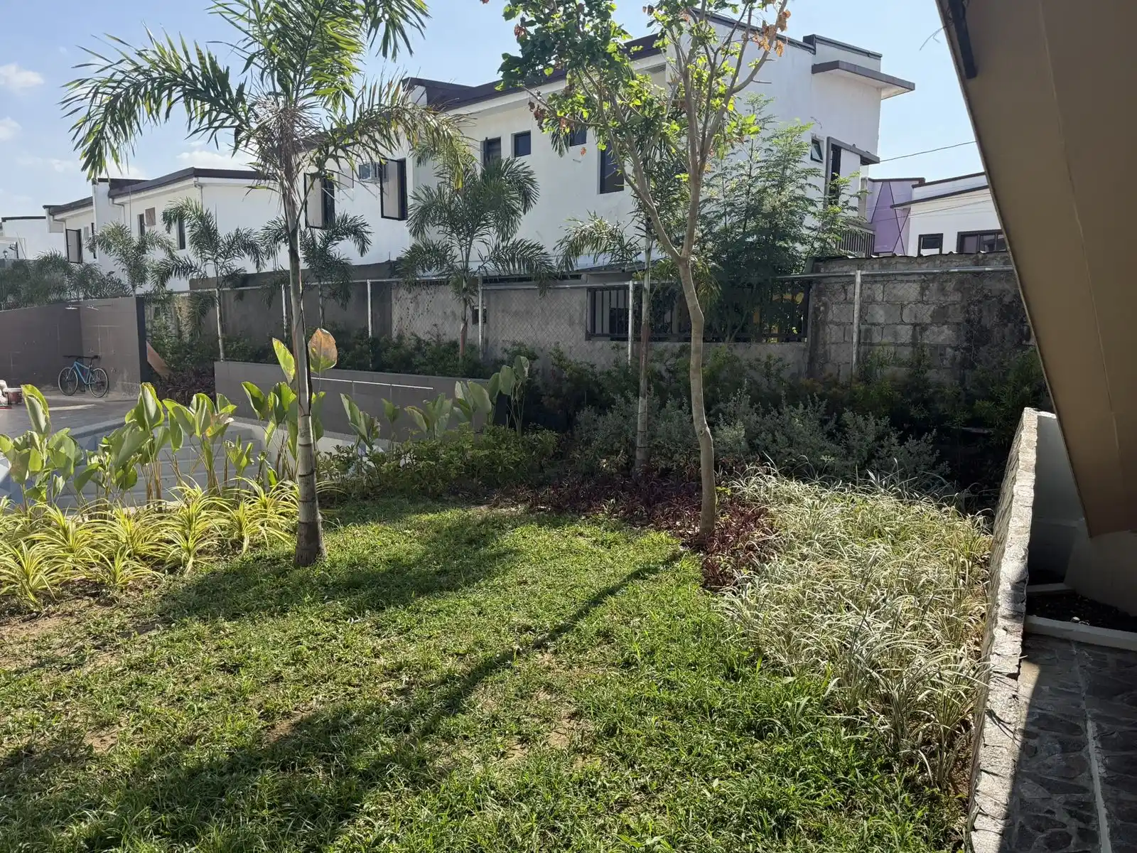 Lush mature garden bed with palms, canna lilies, and full green lawn at a residential community