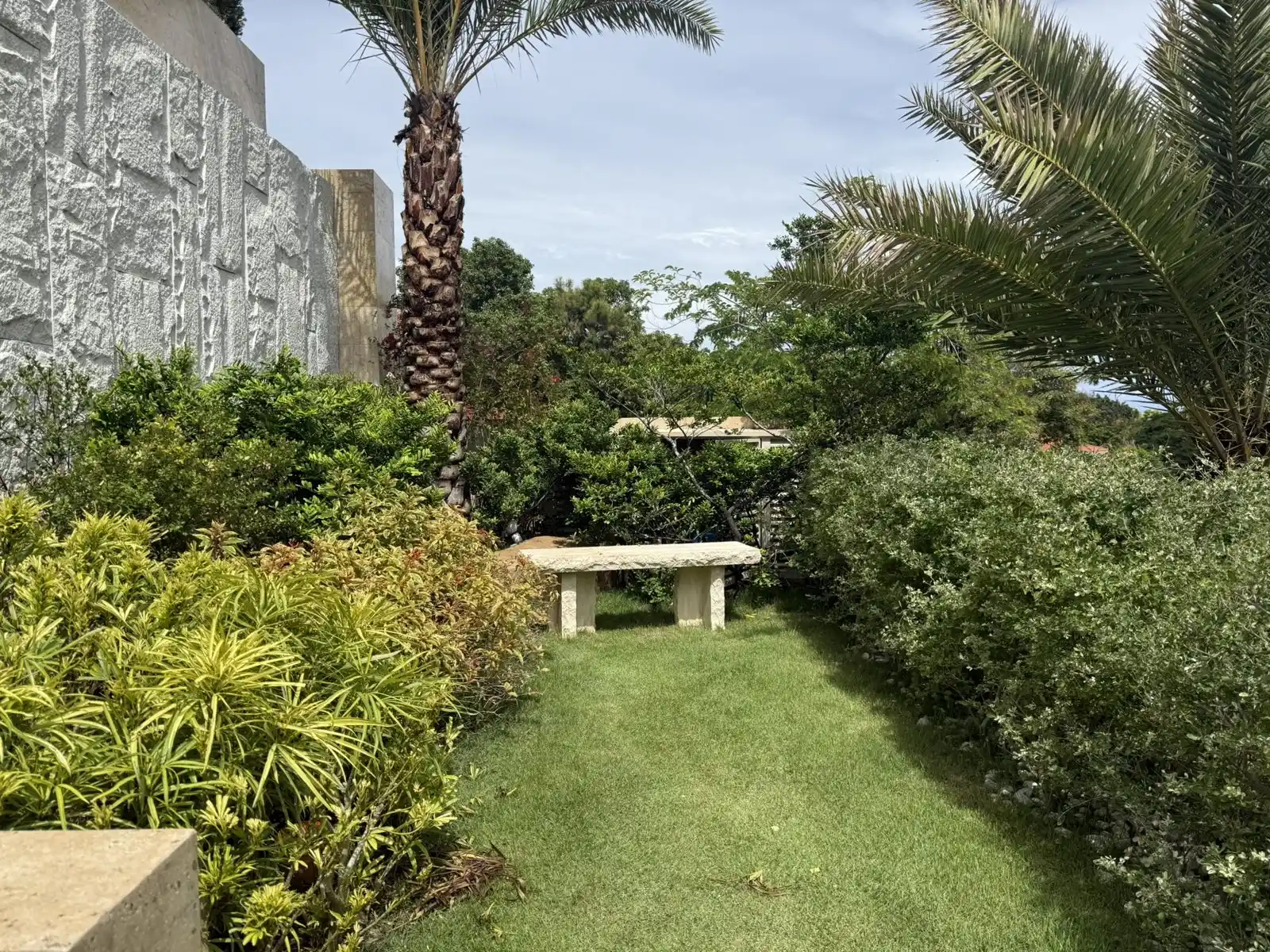 Stone bench on a lawn path flanked by layered tropical shrubs and a date palm
