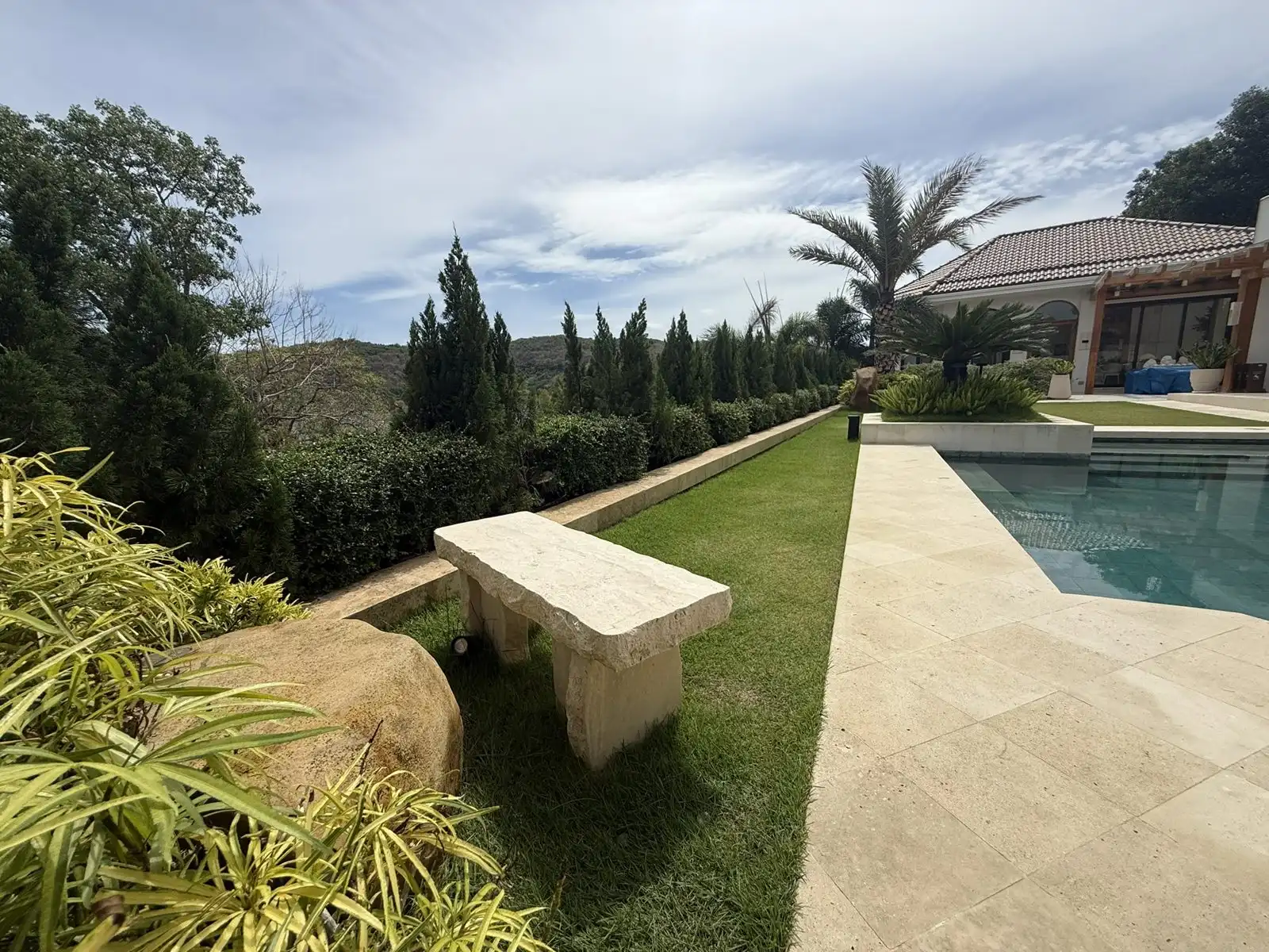 Mature palms framing a view of the bay from a planted garden terrace