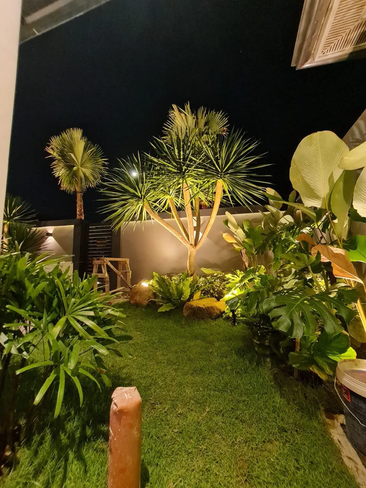 Night view of layered dracaena and fan palms lit against a modern gray gate