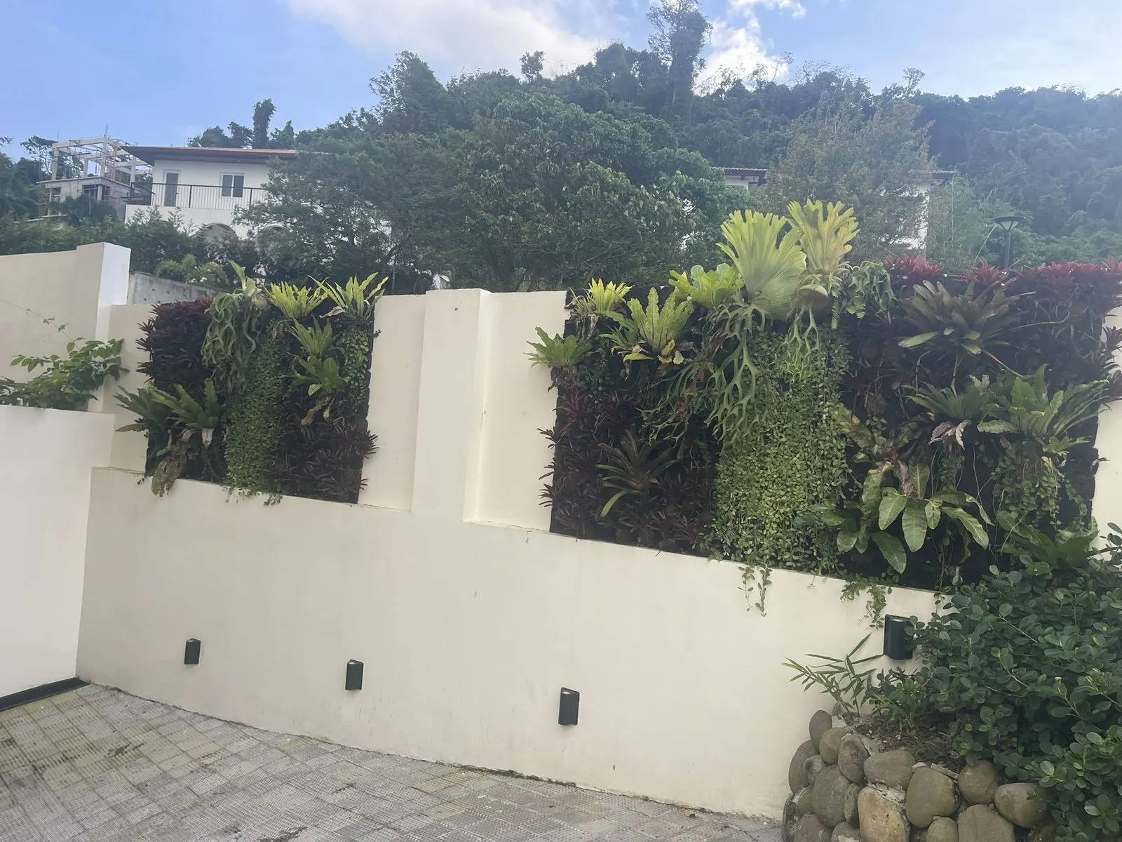 A vertical living wall of bromeliads, ferns, and staghorn ferns at a private residence