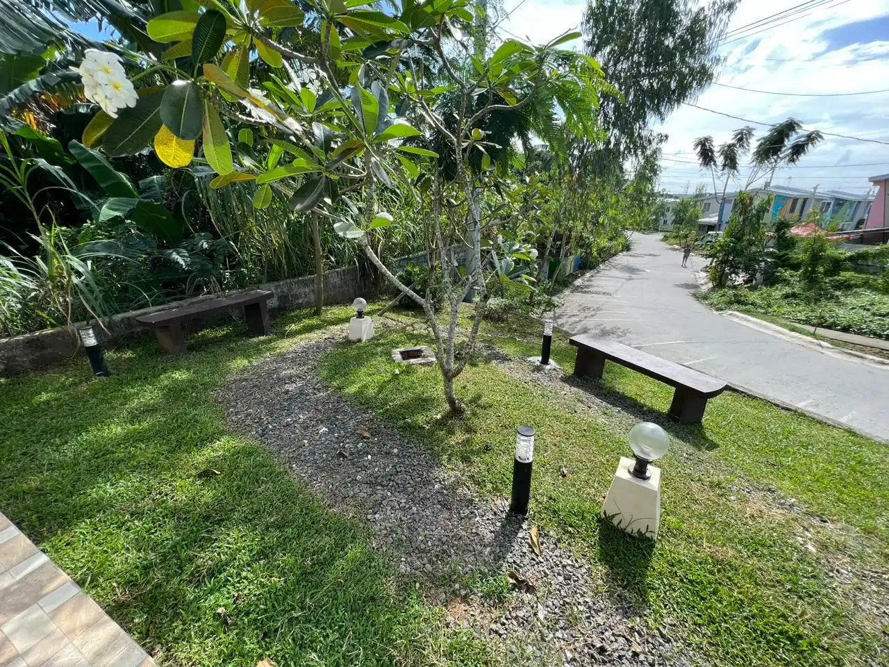 Frangipani specimen trees along a garden path with benches, a Raemulan Lands community
