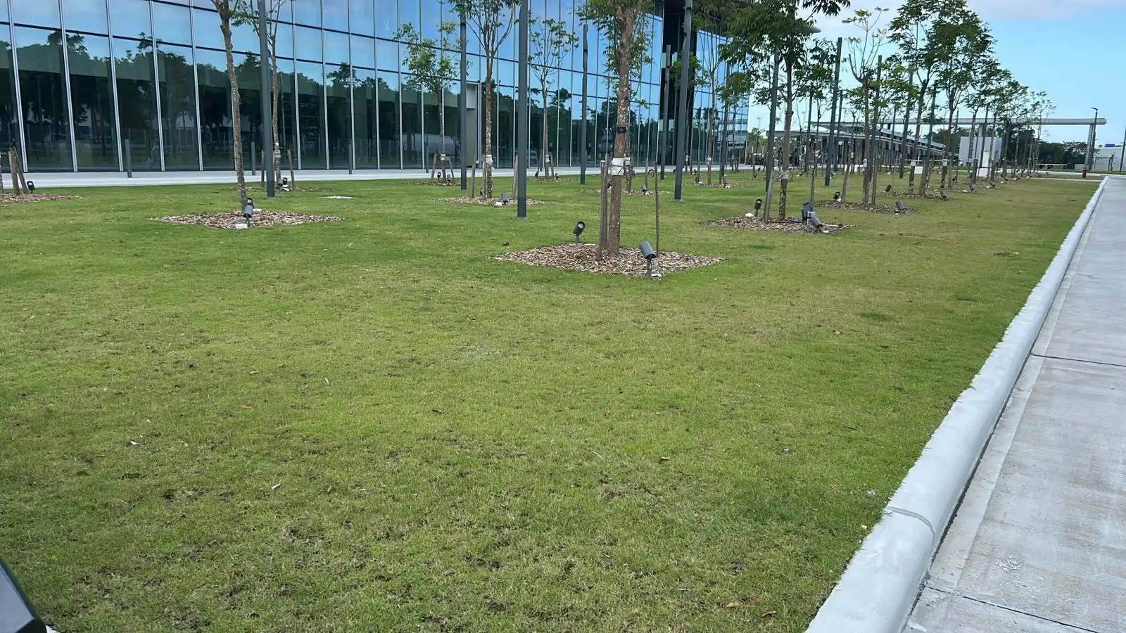 A maintained lawn and tree grid under an active landscape maintenance agreement, Batangas