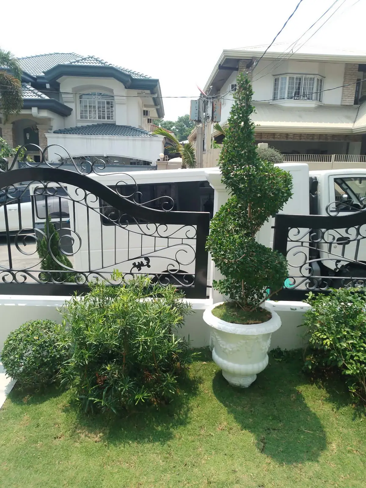 Entrance planting and topiary at a residential gate
