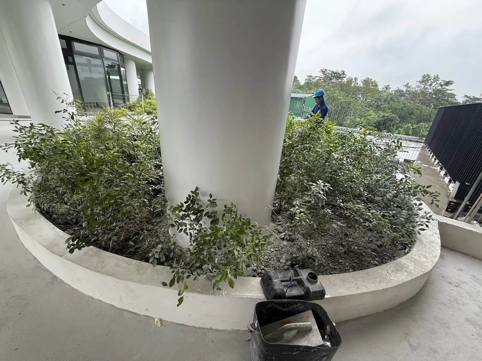 MEG crew checking column planter beds at De La Salle University Laguna campus