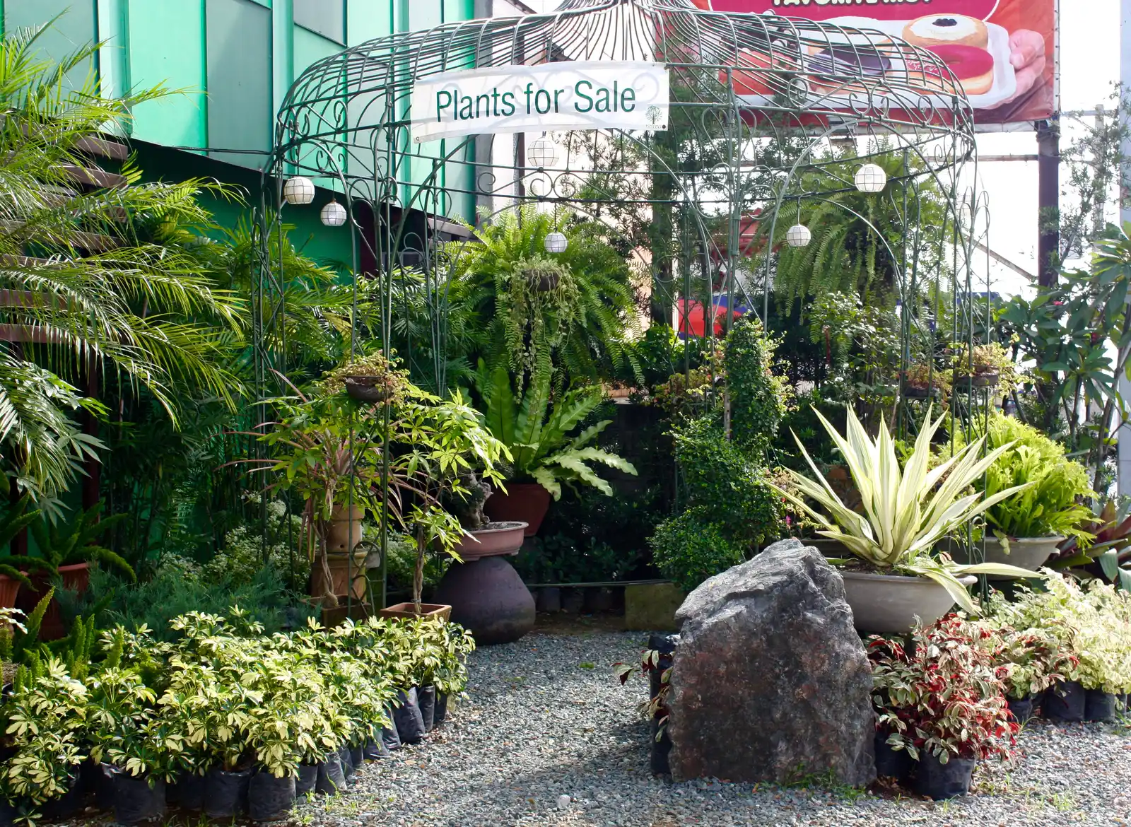 Arched entrance to plants-for-sale display area at MEG Silang showcase garden