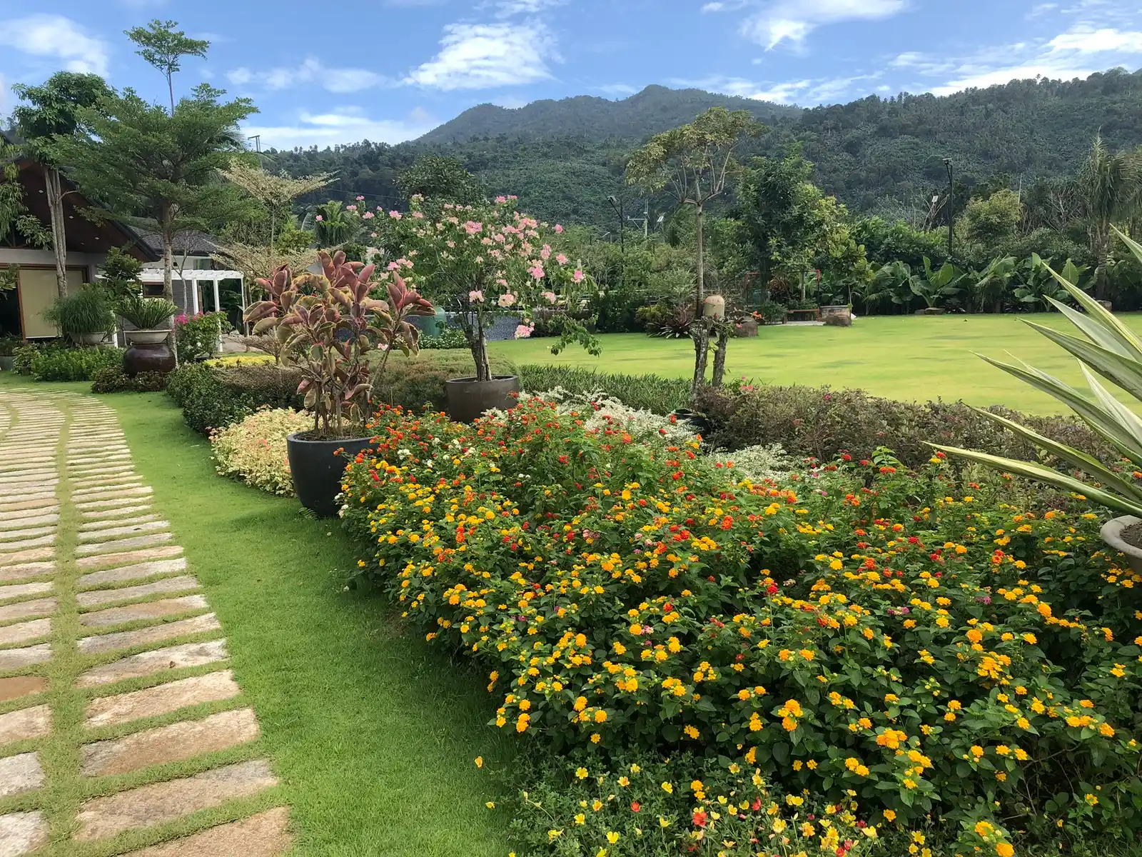Garden pathway lined with flowering shrubs and lawn at the MEG showcase garden